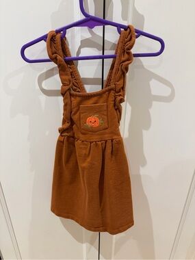 Bundles baby place 18-24m Rust Pumpkin overall Skirt